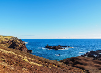 Fototapeta na wymiar Landscape of the north coast nearby Anakena, Easter Island, Chile