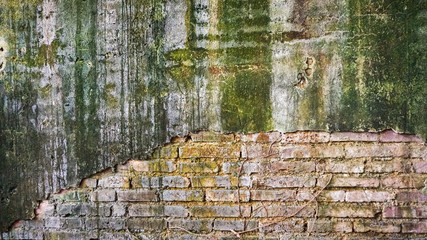 Cracked old brick and concrete wall covered with moss and tree trunk. high humidity abandon texture background