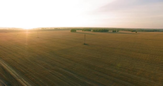 UHD 4K aerial view. Mid-air flight over yellow wheat rural field at sunny summer day. Sun rays and green trees on horizon. Fast horizontal movement.