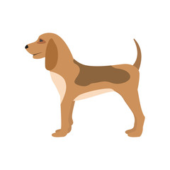 Vector illustration of a cartoon hunting dog puppy