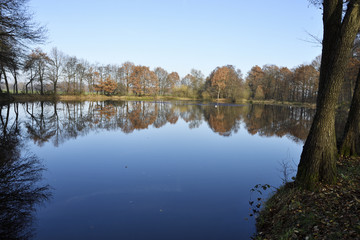 Fototapeta na wymiar See Landschaft mit Baeumen und blauem Himmel
