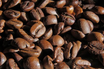 Light falls on texture of coffee beans