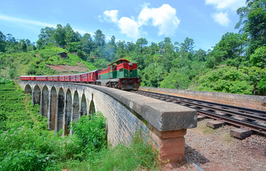 Fototapeta premium The Main Line Rail Road In Sri Lanka . The Line Begins At Colombo Fort And Winds Through The Sri Lankan Hill Country To Reach Badulla