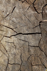 Obraz premium creative