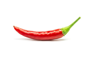 chili pepper isolated