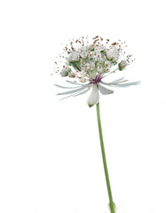 Frühling - Das Erwachen der Natur