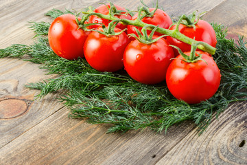 A branch of ripe fresh tomato with water drops and a lot of dill lie on a wooden background. Concept of summer vegetables.