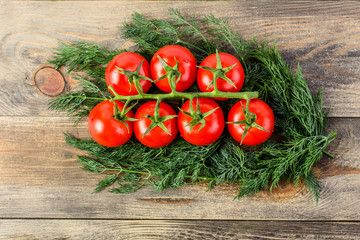 A branch of ripe fresh tomato with water drops and a lot of dill lie on a wooden background. Concept of summer vegetables.