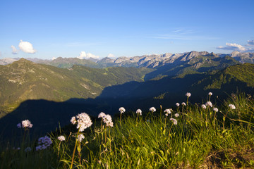 Scharfgarben am Lackenkogel