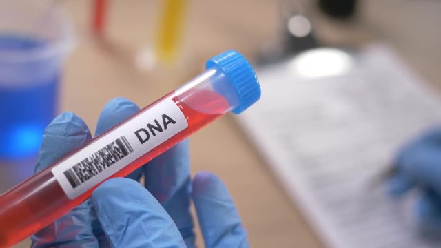 Scientist holding a DNA test tube while taking some notes observations in a notebook. Filmed in a lab environment. Closeup on the tube.