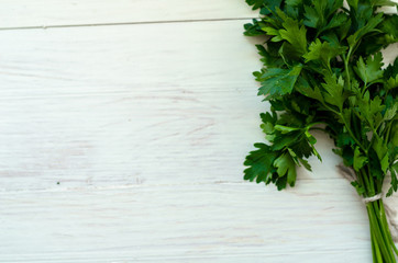 Bunch of fresh parsley on white boards.