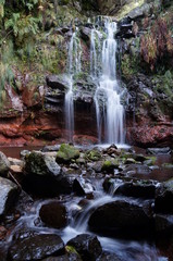 White stream of water flows as waterfall over the overgrown, colorful face of the rock, covered by lush tropical vegetation. After splashing into a pond, it flows on in the riverbed.