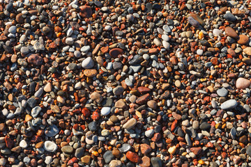 Colorful, wet pebbles