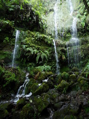 Narrow white stream of water flows as waterfall over a stone cliff until it splashes on the bedrock. The rock face is wetted by water running down the wall in several little trickles.