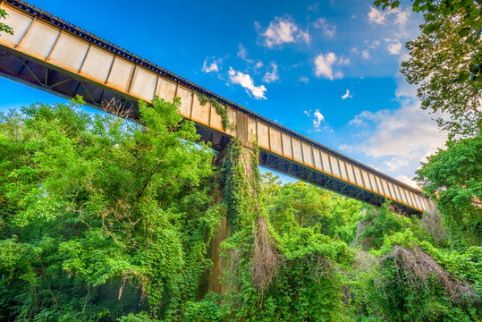 Rural Train Trestle