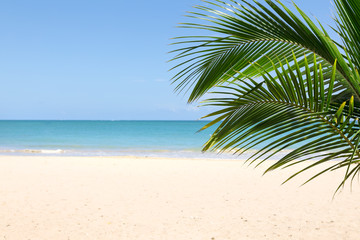 Obraz na płótnie Canvas Sunny tropical beach