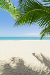 Obraz na płótnie Canvas Sunny tropical beach