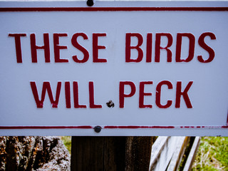 These Birds Will Peck