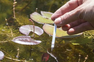 PH-Wert Analyse von Teichwasser mittels Teststreifen