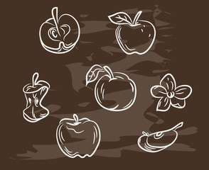 Collection of hand-drawn apple on blackboard. Retro vintage style food design. Vector illustration.