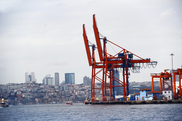 Crane