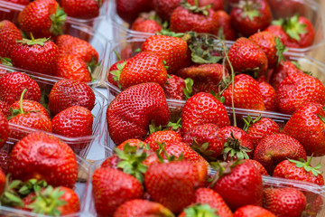 Frische Erdbeeren auf einem Wochenmarkt