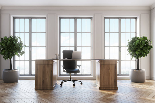 CEO office interior, windows