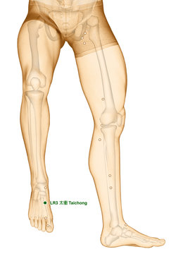 Drawing Acupuncture Point LR3 Taichong, 3D Illustration