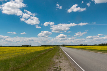 Motorway behind which the blue sky with clouds over the field with yellow flowers