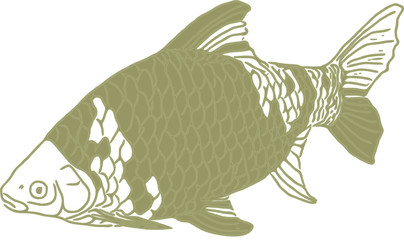 Teichfische, Vektor.