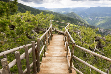 Wooden bridge viewing side