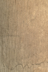 wood texture