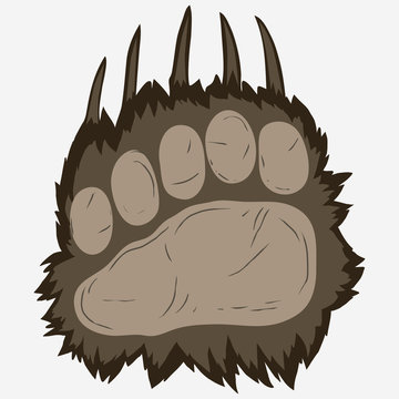 Bear Footprint, Grizzly Paw Print. Vector