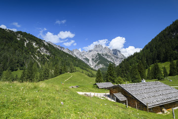 Fototapeta na wymiar Alm im Berchtesgadener Land