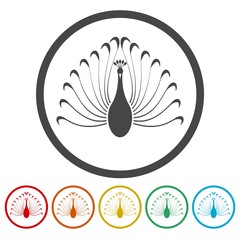 Peacock - vector Illustration 