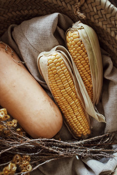 Close up view on fresh healthy corn and pumpkin laying in straw rustic braided basket with linen textile and dried yellow flowers. Vertical dark atmospheric shot in brown shades.