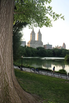 Central park Manhathan new york
