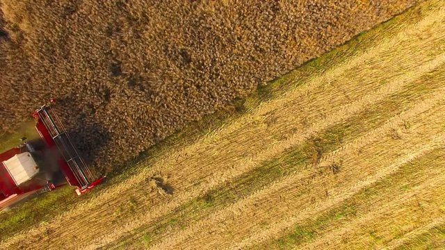 Aerial view of combine harvester. Harvest of rapeseed field. Industrial background on agricultural theme. Biofuel from Czech countryside. Agriculture and environment in European Union. 
