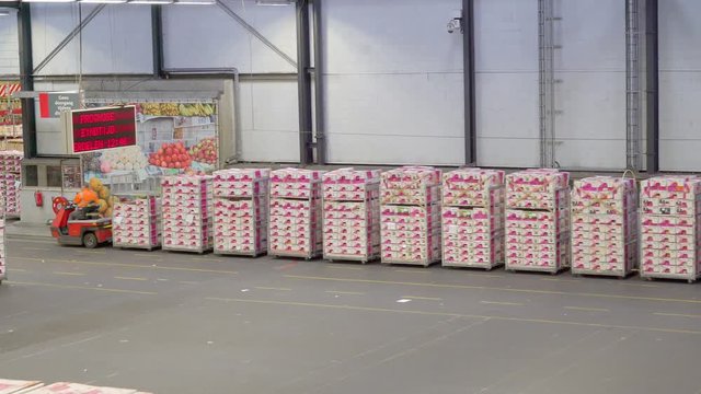 1139_The_flower_trains_consists_of_flower_carts.mov