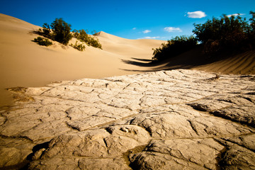 Fototapeta na wymiar Sand Dunes in Death Valley