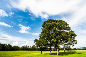 Hills in Mississippi with summer thunderstorms approaching