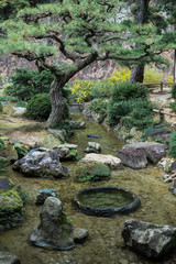 bonsai moss rock river in zen garden