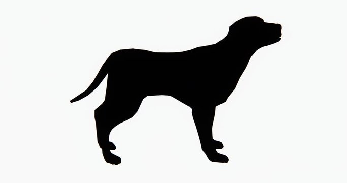 4k dog,3d cartoon,lovely pet,animal silhouette.