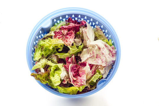 Salad with centrifugal dryer