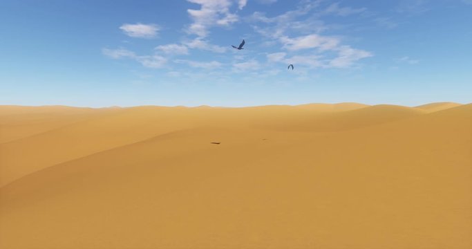 4k Eagles hovering over the desert & sand dunes,birds shadow are projected in the desert.