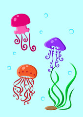 Set colorful cartoon jellyfish with seaweed on blue background, vector illustration