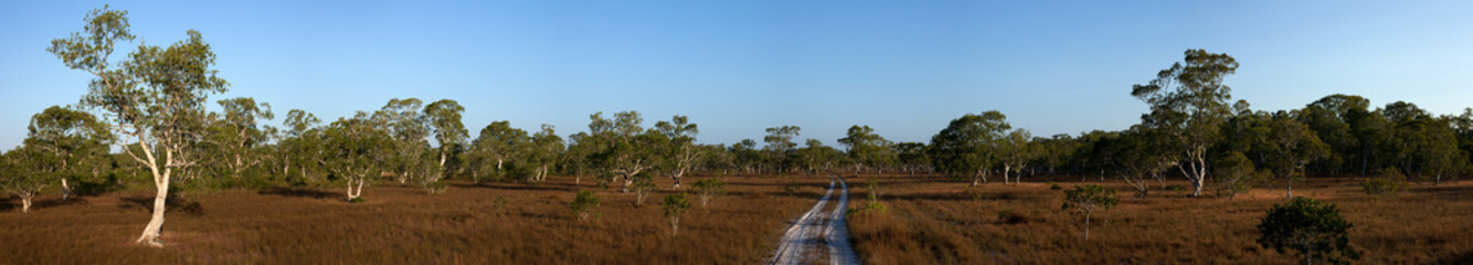 The road through the middle of biome Savanna sunset time with Panoramic scene at Tropical Deciduous Forest. Koh Pratong Marine Nationalpark. Phangnga Province. Thailand