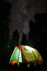 Cosmos camping - 162864193