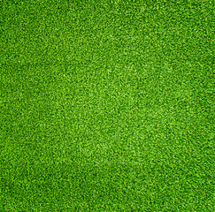Grass - 162865117