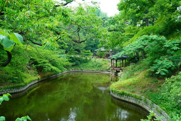 Obraz premium 창덕궁 후원 (Changdeokgung Secret Garden)